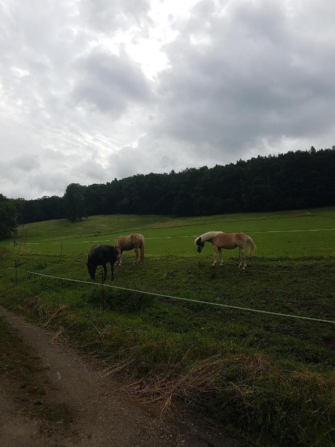 Ferienwohnung am Thüringen Radweg Rauda Exterior foto